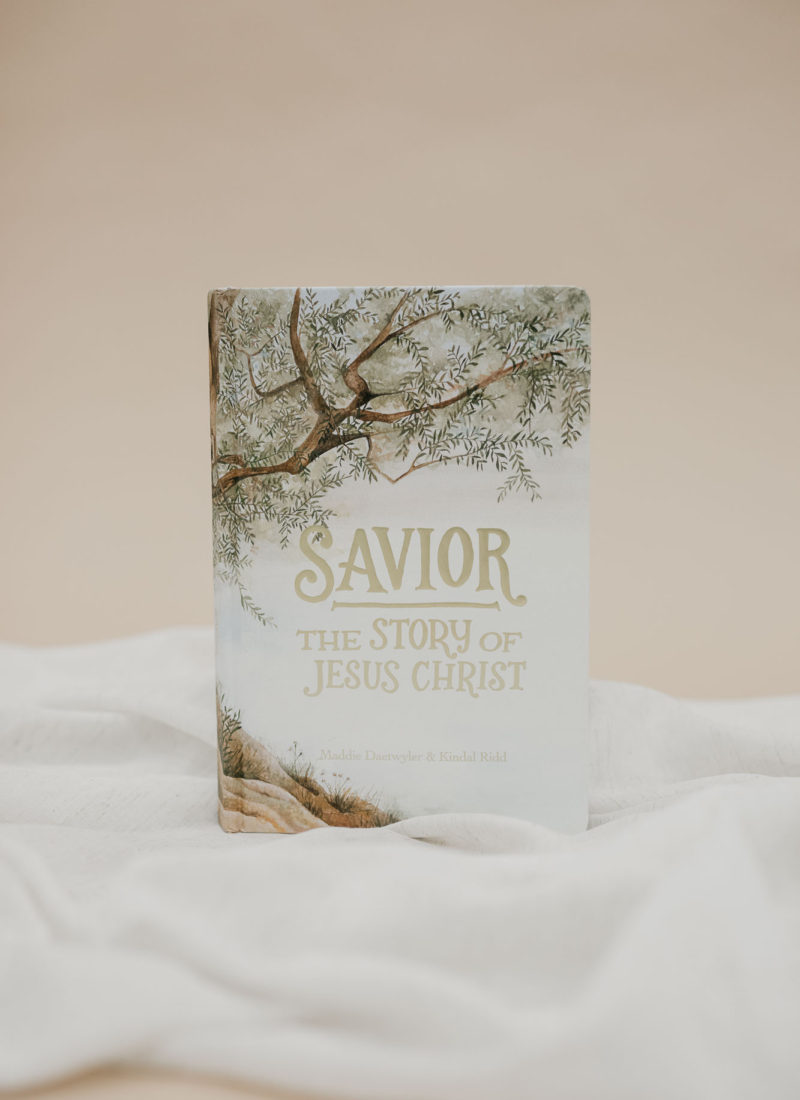 Savior Book