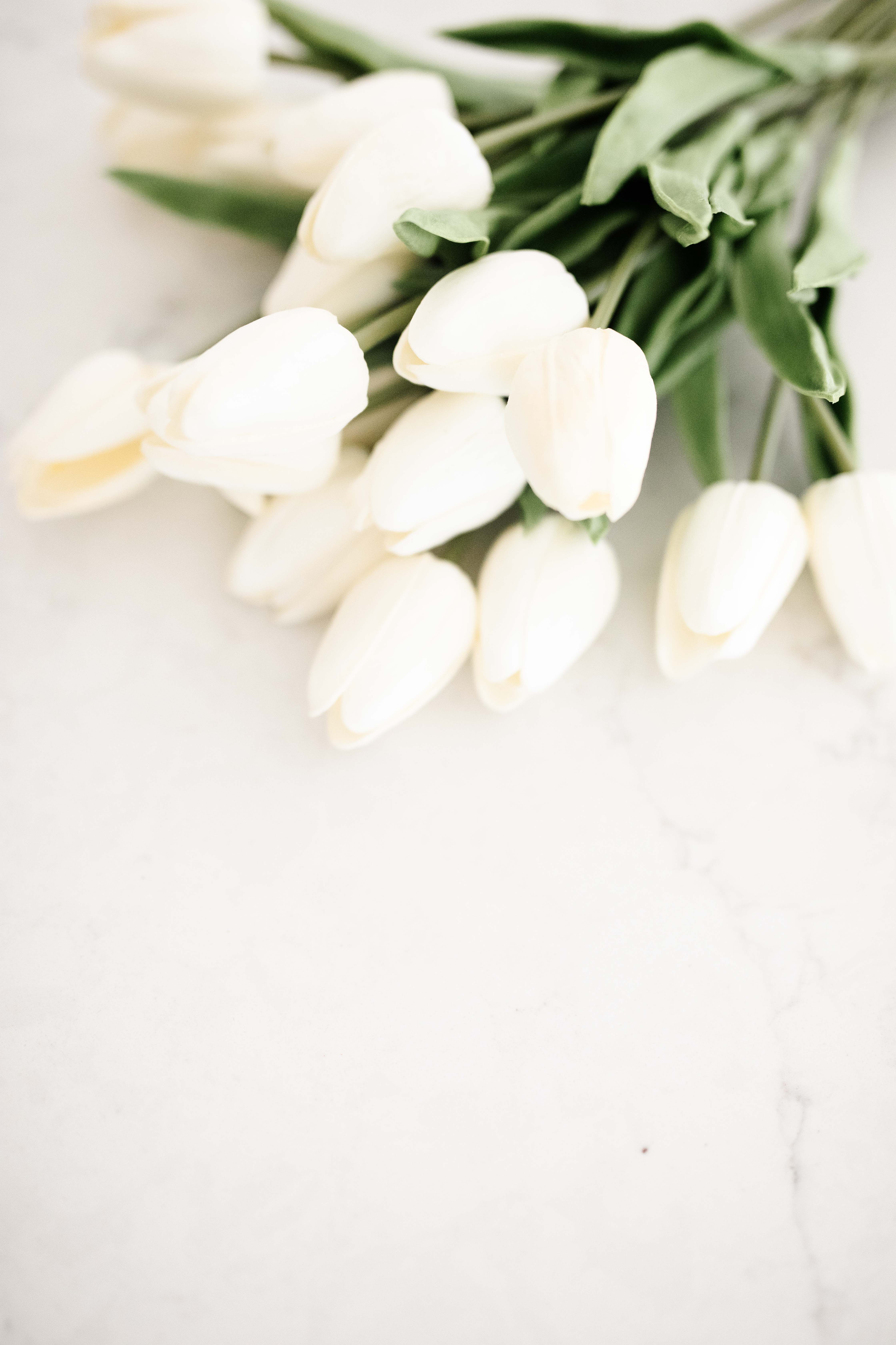 Faux Tulips